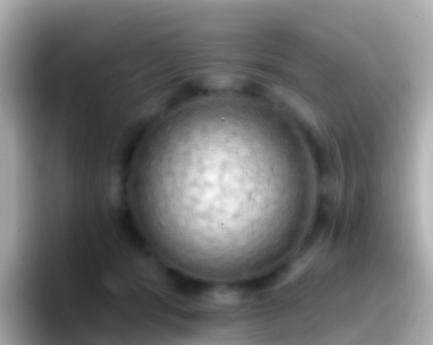 X0000096690416200802121236