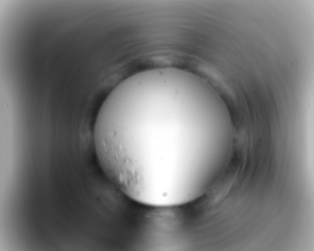 X0000096690418200802121236