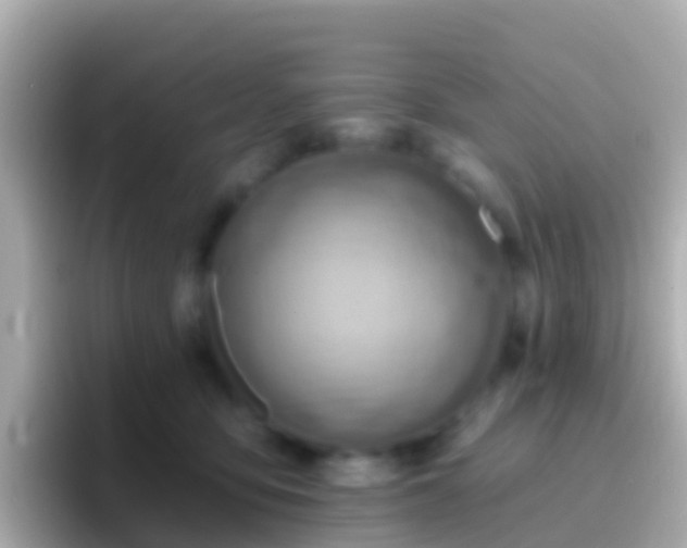 X0000096690419200802121236