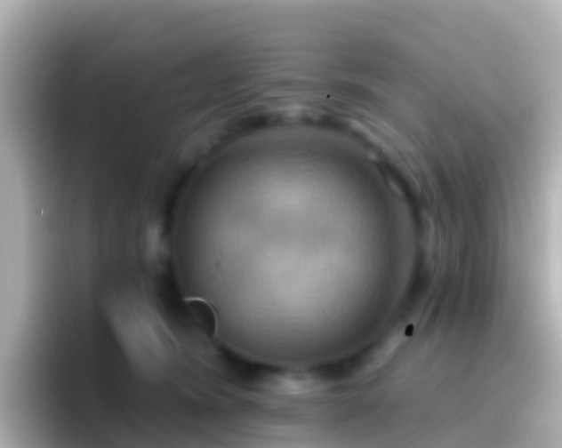 X0000096690420200802121236