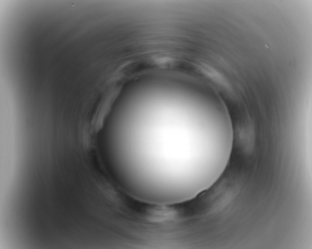 X0000096690421200802121236