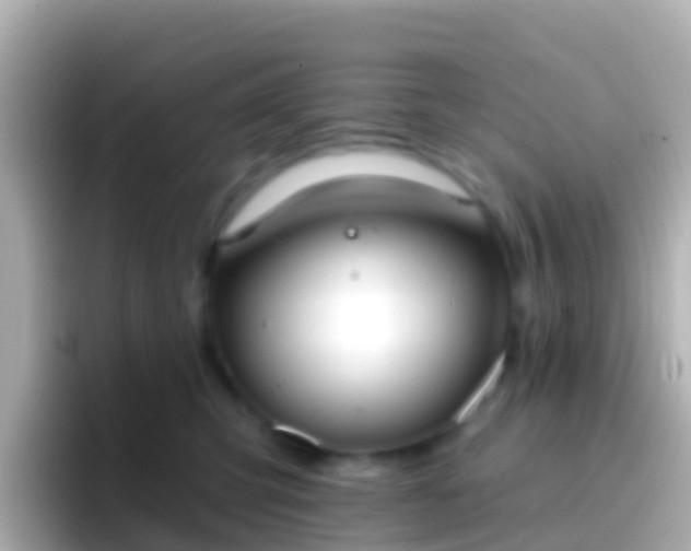 X0000096690423200802121236