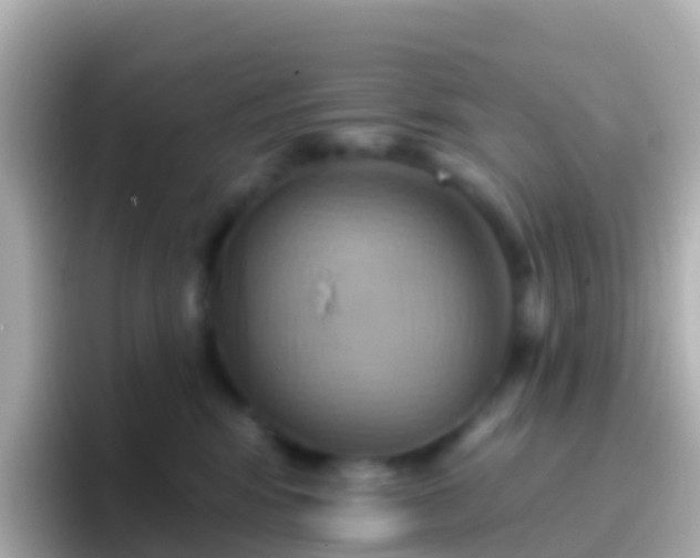 X0000096690424200802121236