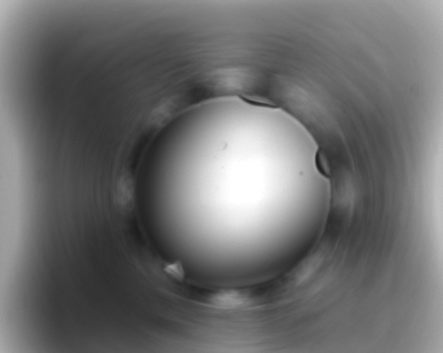 X0000096690425200802121236