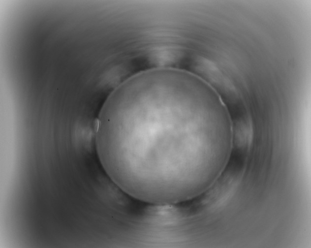 X0000096690427200802121236