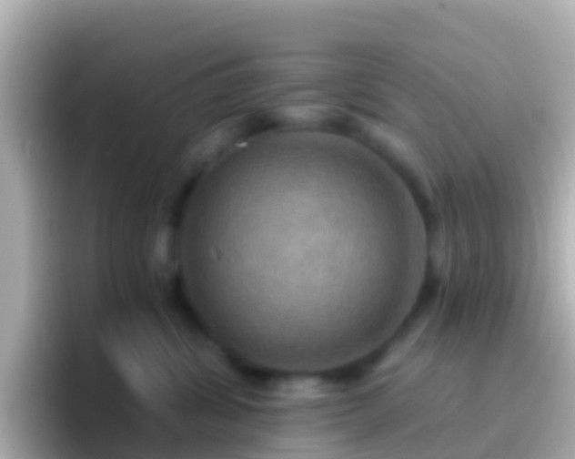 X0000096690428200802121236