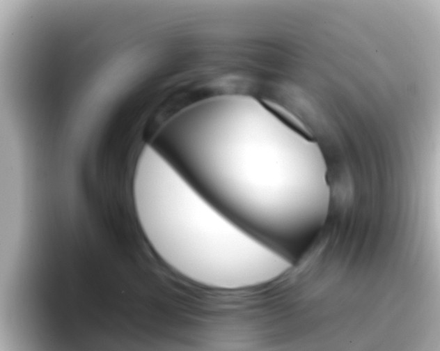 X0000096690429200802121236