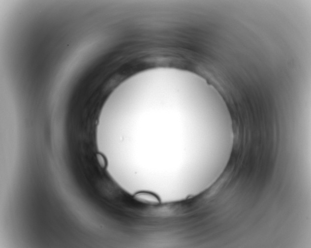 X0000096690430200802121236