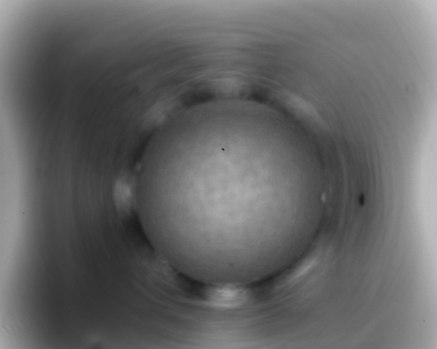 X0000096690432200802121236