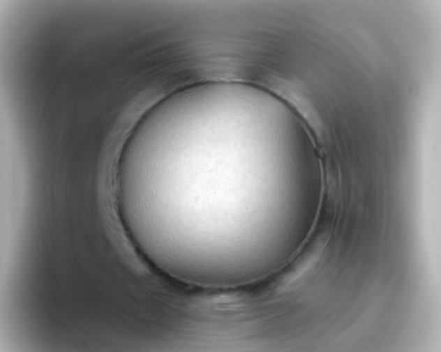 X0000096690433200802121235