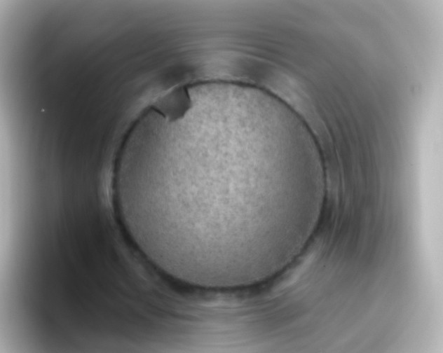 X0000096690434200802121235