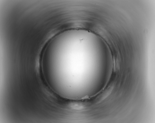 X0000096690435200802121235