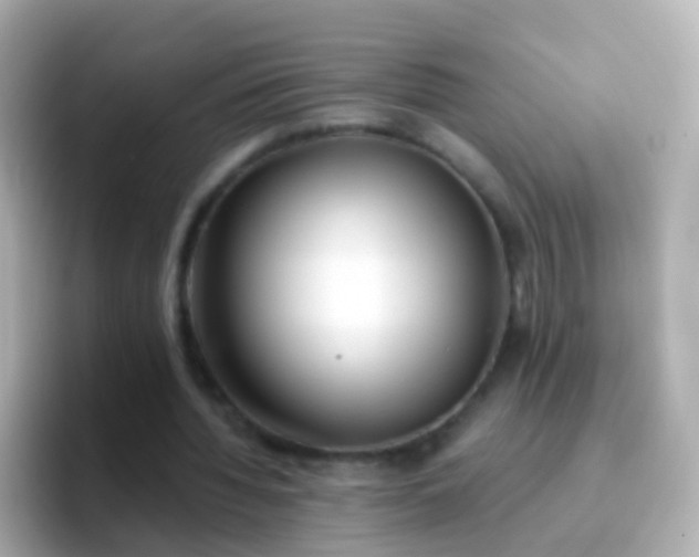 X0000096690436200802121235