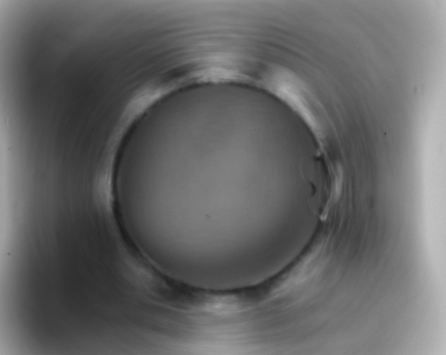 X0000096690438200802121235