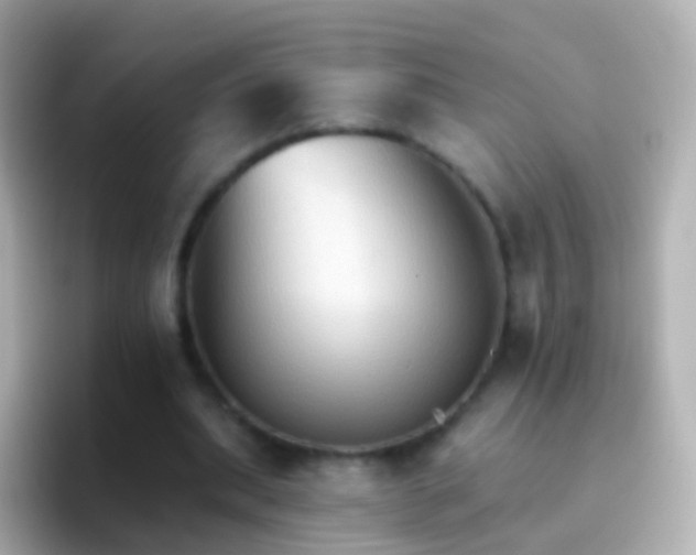 X0000096690439200802121235