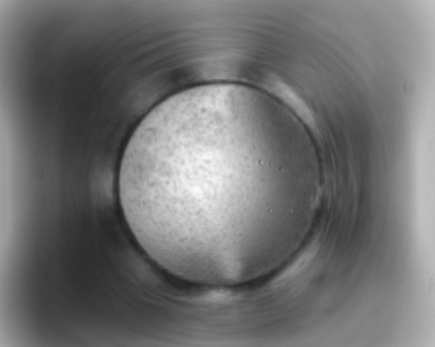 X0000096690441200802121235