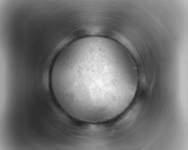 X0000096690442200802121235