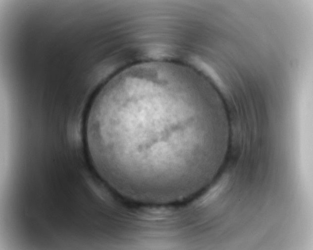 X0000096690443200802121235