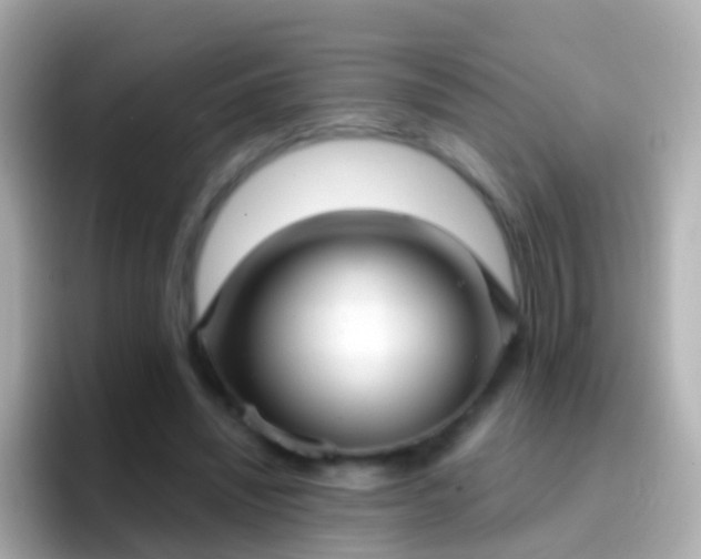 X0000096690444200802121235