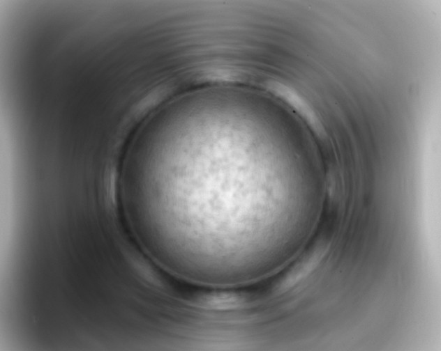 X0000096690445200802121235