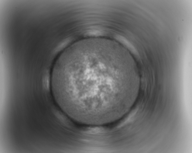 X0000096690446200802121235