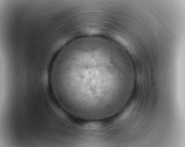 X0000096690447200802121235