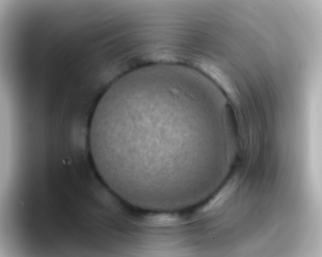 X0000096690449200802121236