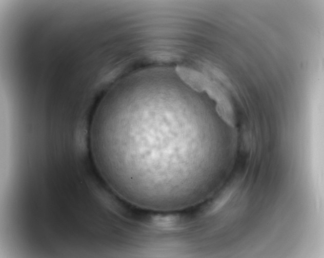 X0000096690450200802121236