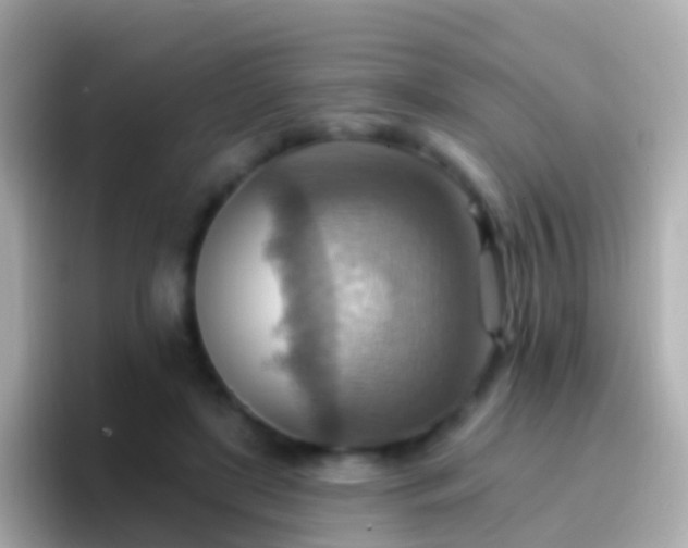 X0000096690451200802121236