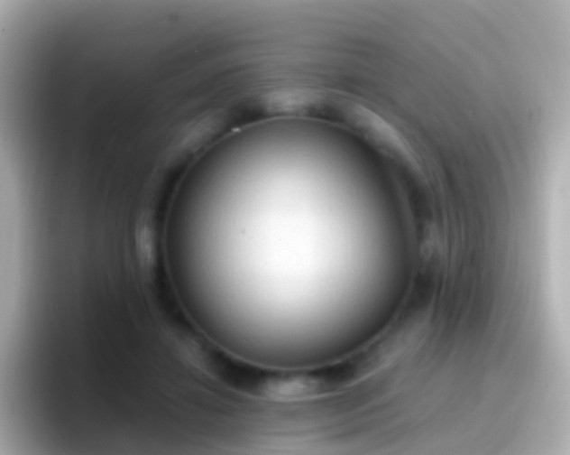 X0000096690452200802121236