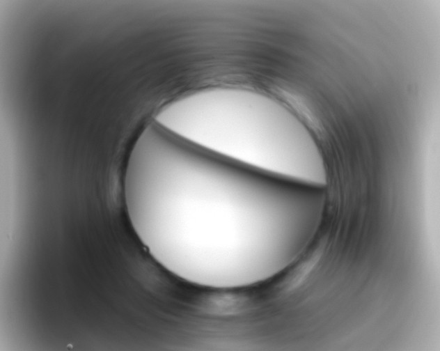 X0000096690453200802121236