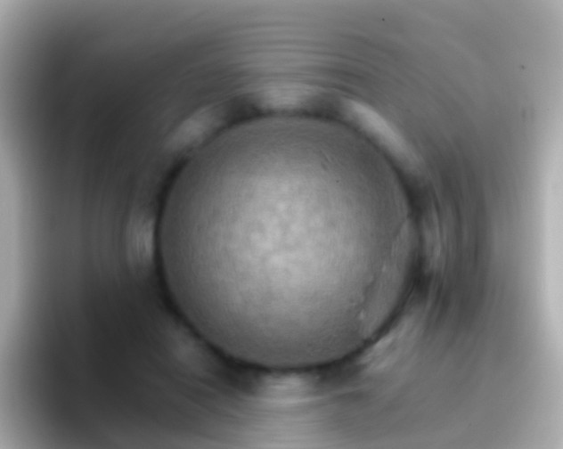 X0000096690454200802121236