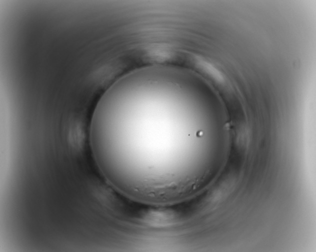 X0000096690455200802121236