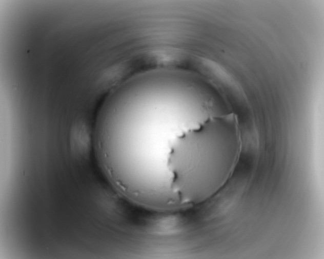 X0000096690456200802121236