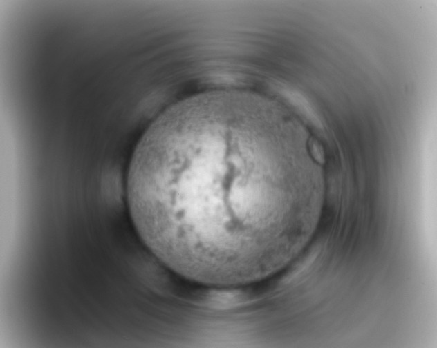 X0000096690457200802121236