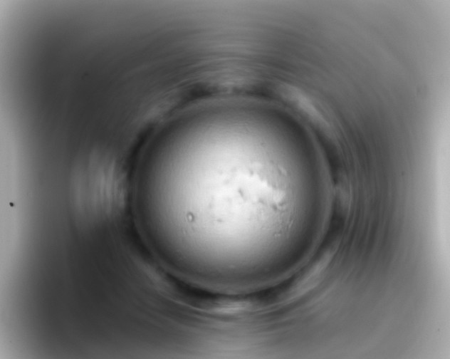 X0000096690458200802121236