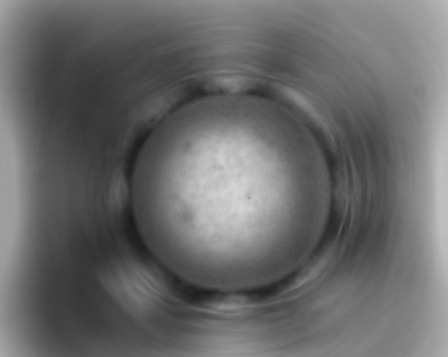 X0000096690459200802121236