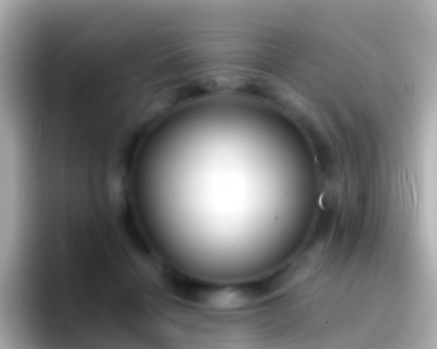 X0000096690460200802121236