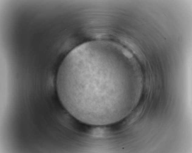 X0000096690461200802121236