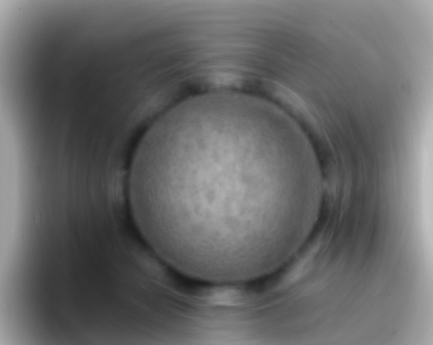 X0000096690462200802121236