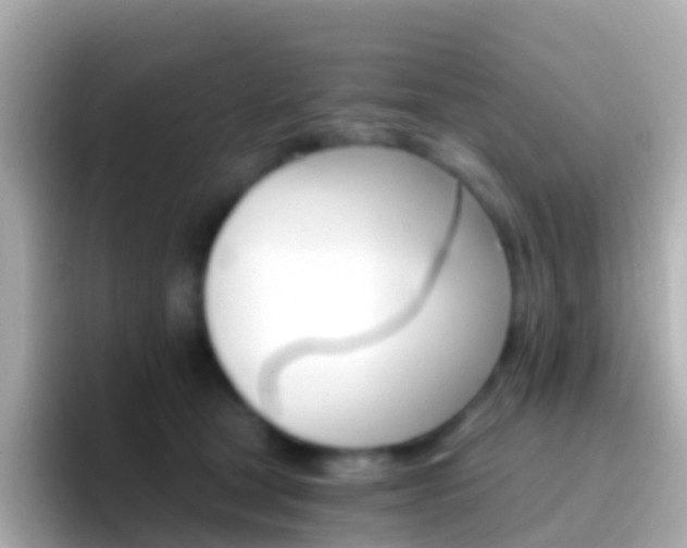 X0000096690465200802121236