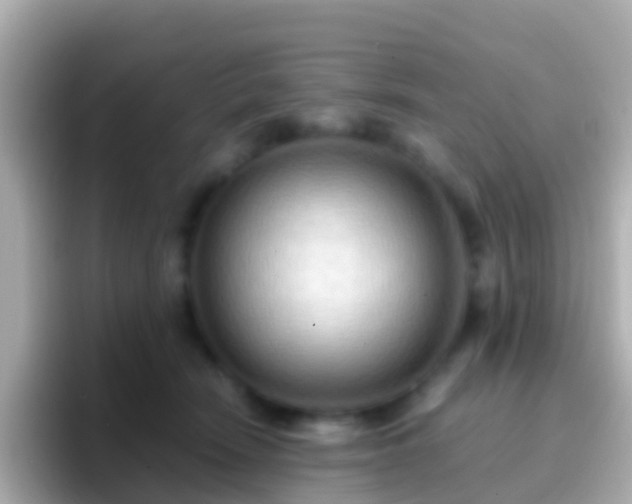 X0000096690466200802121236