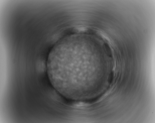 X0000096690467200802121236