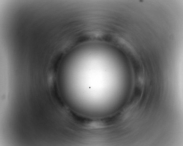 X0000096690468200802121236