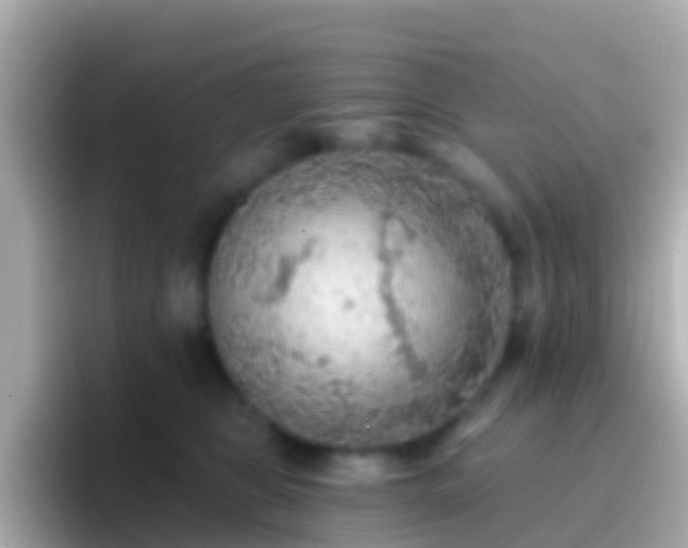 X0000096690469200802121236