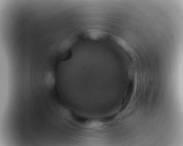 X0000096690471200802121236