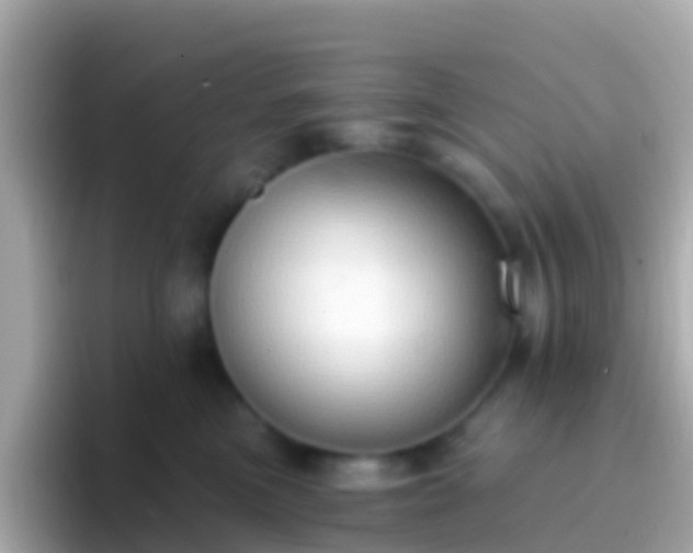 X0000096690473200802121236