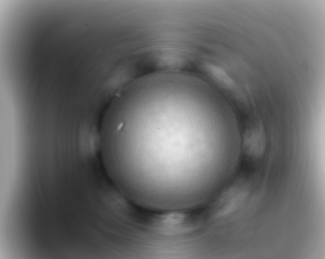 X0000096690474200802121236