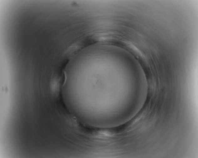 X0000096690475200802121236