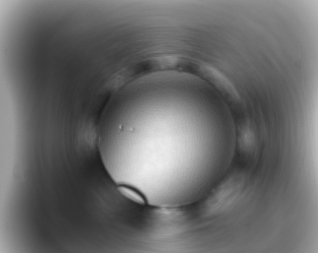 X0000096690477200802121236